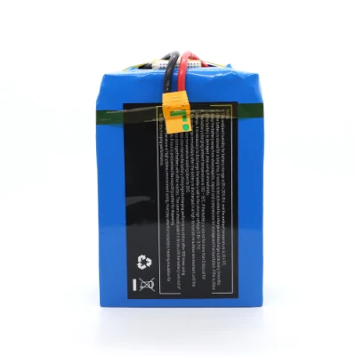 Batteria Lipo da 22000 mAh 44,4 V 12s per drone agricolo/UAV