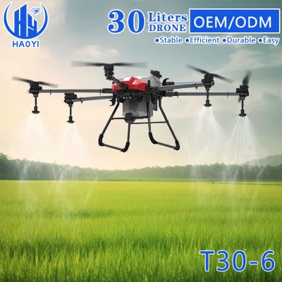  Farm Drone Technology Dron Fumigador Precio Drones De Fumigacion 30L Droni a 6 assi Agro seminatrice per riso chimico agricolo Sprayer Drone Agricola Precio