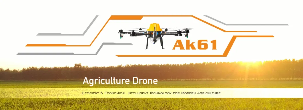 10L Agriculture Drone Crop Sprayer for Plant Protection and Farm