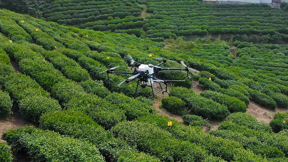 26liter Durable Large Flow 6axis Agricultural Spraying/Granule Spreading Drone