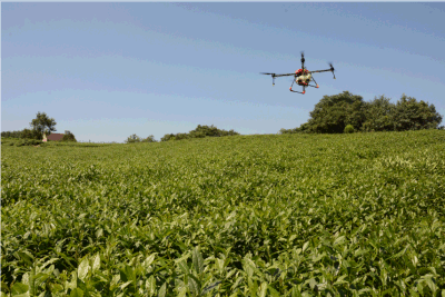 Распыление пестицидов беспилотных летательных аппаратов культур опрыскиватель Drone Drone сельского хозяйства опрыскивания