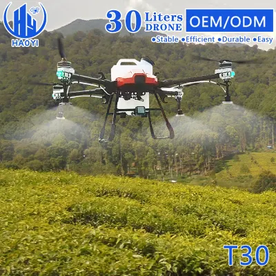 30L Drone Agricola Fumigation Dron Agricola Agricola Agricola Agricola Agricultural Drone Frame для продажи