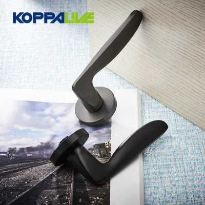 Koppalive Brass Bedroom Dummy Door Handles Lock Interior Room Black Privacy Door Lever Handle