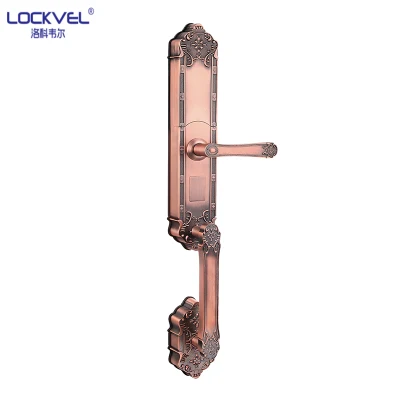  Luxury Smart Door Lock/Entrance Digital Handle Smart Fingerprint Electric Door Electronic Lock