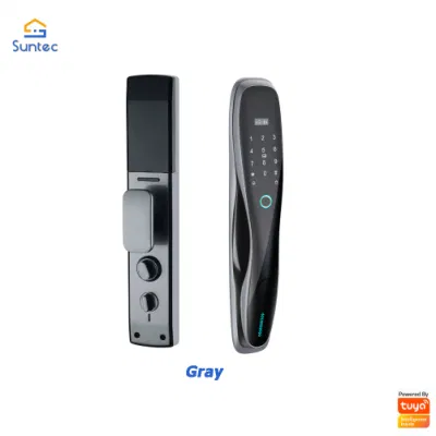 Smart Digital Door Lock Multi-Unlocking Ways Apartment Fingerprint House