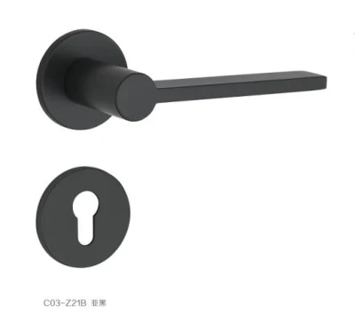 Modern Minimalist Style Door Lock Hardware Rosette Lever Handle