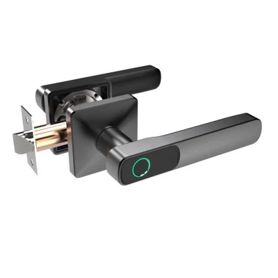  5% Discount Smart Fingerprint Heavy Duty Commercial Tubular Door Lever Lock
