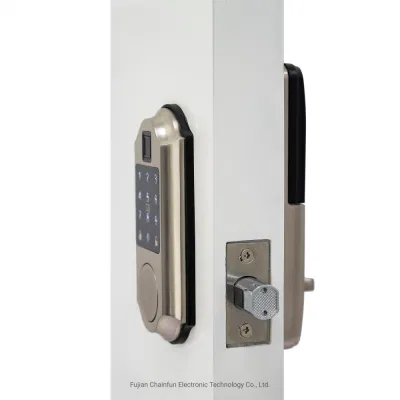Password Keyless Electronic Entry Smart Locks Gate Deadbolt Door Lock