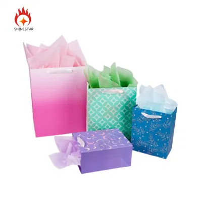 Assorted Sizes and Designs Bulk with Tissue Paper Gift Packaging Colorful Packing Bags