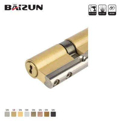 China Manufacturer Main Gate Interior Security Wood Door Brass Lock Cylinder 70mm 120mm