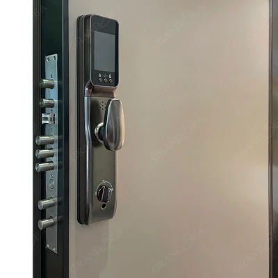 Hotel Custom Front Security Biometric Fingerprint Digital Keyless Lock Aluminum Steel Entry Door