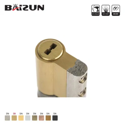 China Manufacturer Main Gate Interior Security Wood Door Brass Lock Cylinder 70mm 120mm
