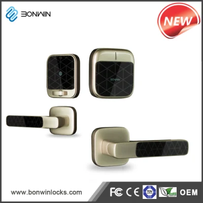  RF Card Digital Security Electronic Door Locks and Handles