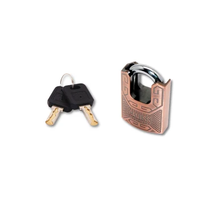  Security Manufacturer Key Code Front Door Padlock