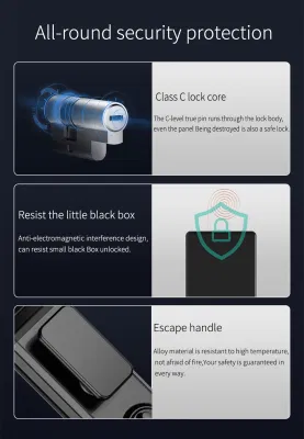 WiFi Smartlock OEM Electronic Biometric Fingerprint Gate Smart Digital Exterior Security Front Door Lock with Camera