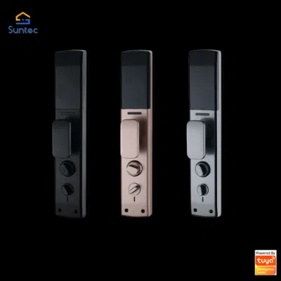Smart Digital Door Lock Multi-Unlocking Ways Apartment Fingerprint House