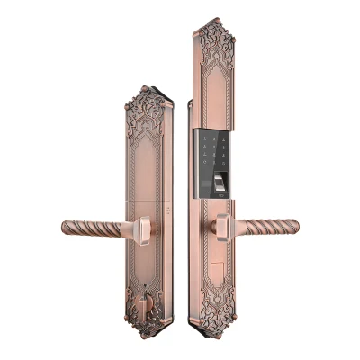  Entrance Digital Handle Smart Fingerprint Electric Door Electronic Lock