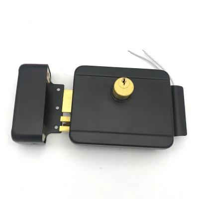  High Security Smart Door Lock Anti Theft All Kinds Outdoor Doors Electric Rim Lock