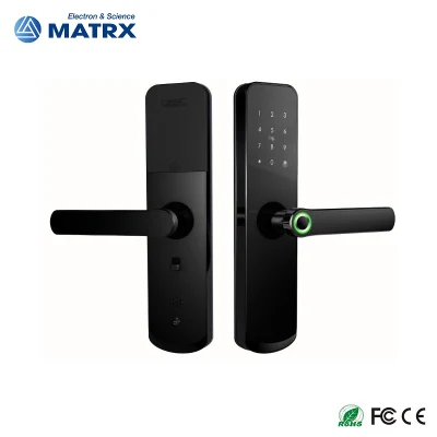  Biometric Updated Stock Elegent Door Gate Tt WiFi Fingerprint Smart Door Lock