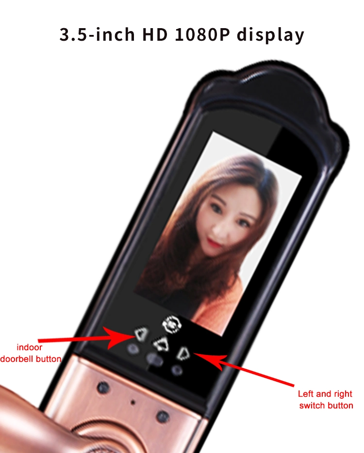 3D Face Recognition Luxury Villa Door Cell Phone Remote Video Camera Monitoring Automatic Intelligent Door Lock