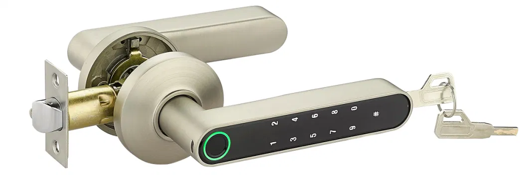 Resident Apartment Biometric Lock Fingerprint Code Door Handle