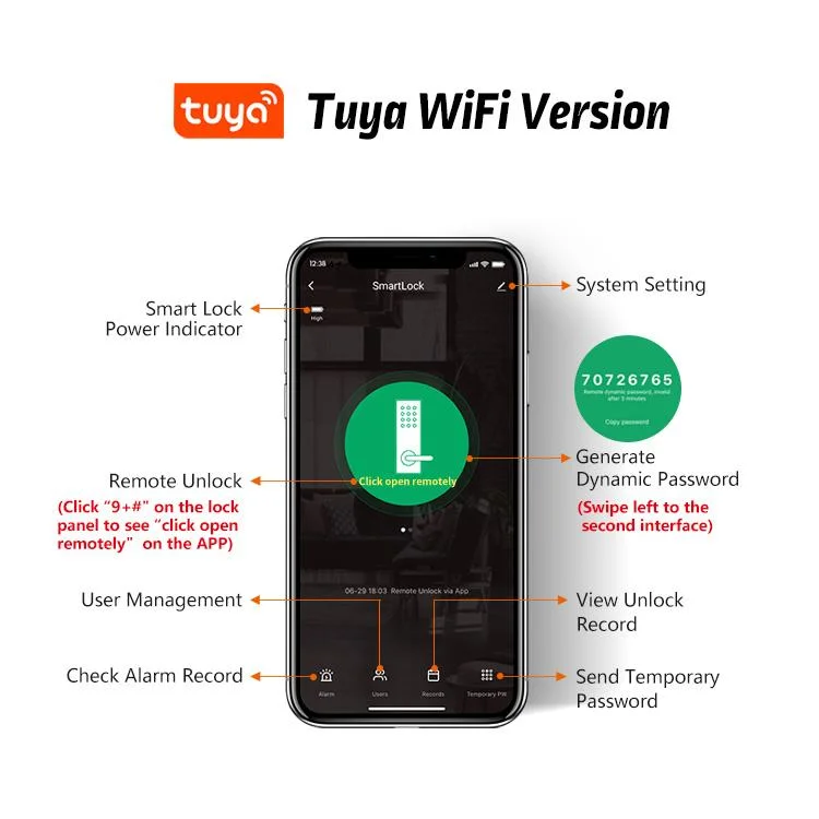 Ttlock Smart Door Lock Outdoor Tuya WiFi Fingerprint Lock Double Side Digital Code IC Card APP Electronic Apartment Gate Lock