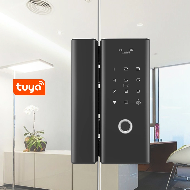 Office Keyless Security Fingerprint Glass Door Lock with Tuya APP