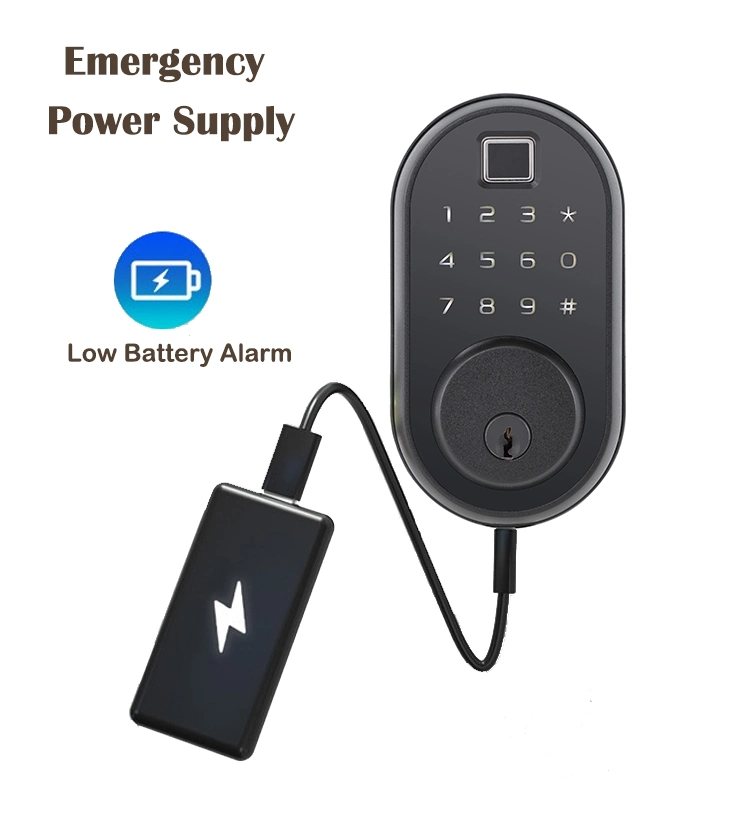 American Standard Waterproof Tuya WiFi Keyless Entry Keypad Wireless Digital Password Fingerprint Smart Lock