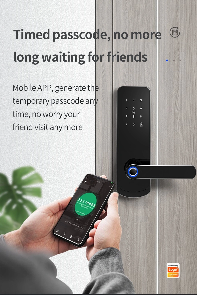 OEM Cutomizied with Tuya APP Fingerprint Cylinder Smart Door Lock