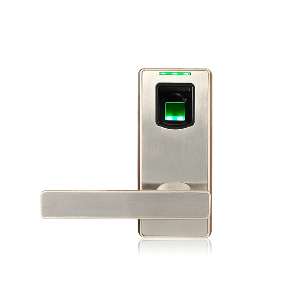 Cheap Biometric Fingerprint Smart Door Lock with Idle Handle Design (ML10)