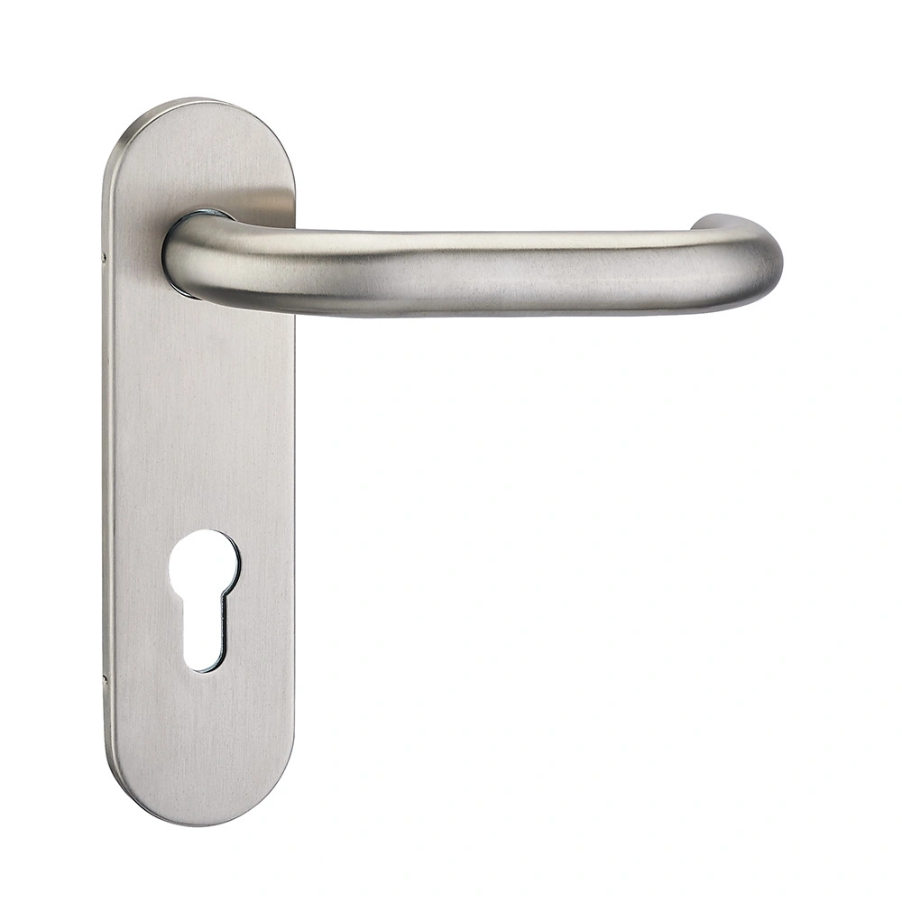 Hollow Stainless Steel Tube Lever Lock Door Handles Push Pull Handle Wooden Door Fire Door Office Hotel Interior Door Handle on Plate