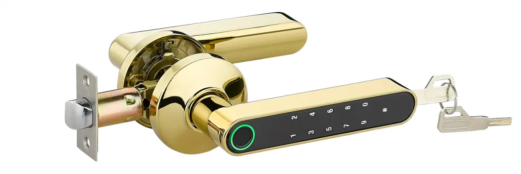 Resident Apartment Biometric Lock Fingerprint Code Door Handle