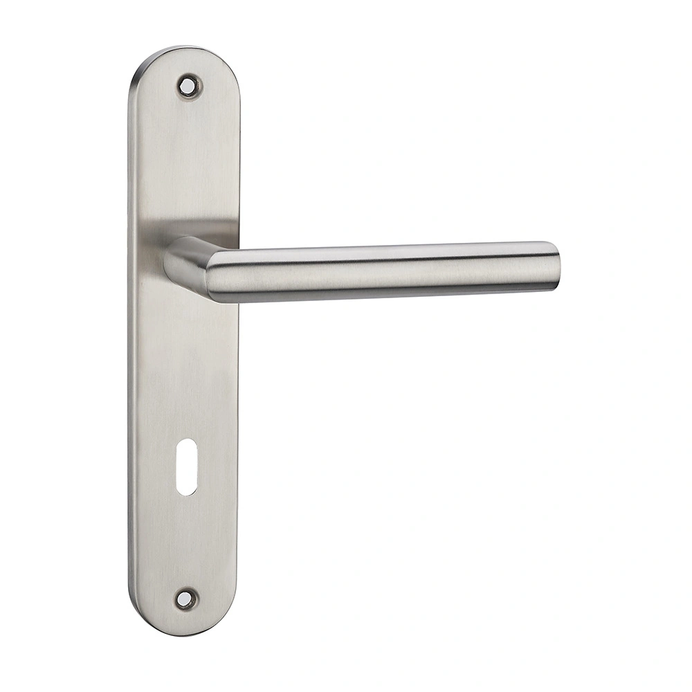 Hollow Stainless Steel Tube Lever Lock Door Handles Push Pull Handle Wooden Door Fire Door Office Hotel Interior Door Handle on Plate