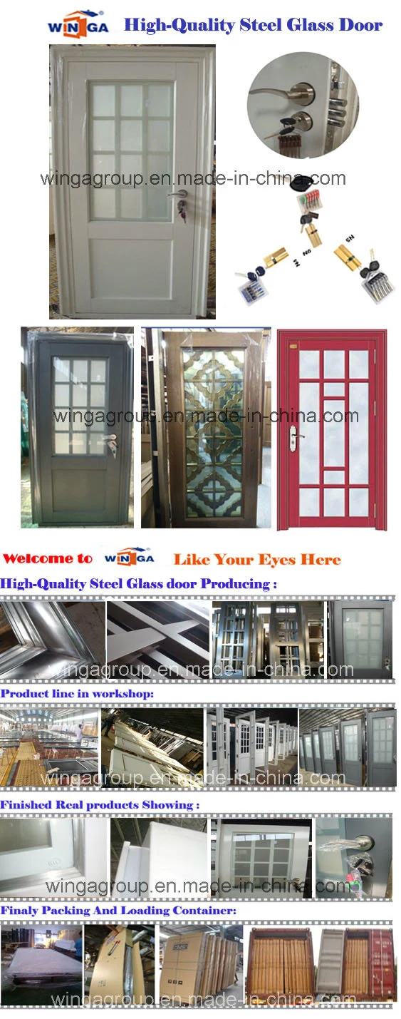 Building Project Water Proof Sunproof Security Steel Glass Door W-Bt-08