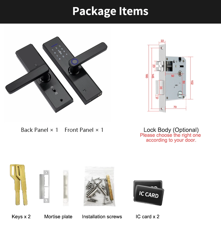 Home Electronic Door Lock with Keypad Support Tuya WiFi