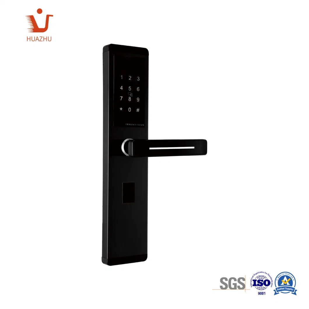 Economical Smart Digial Door Lock, Dormitory Door Lock, Apartment Smart Lock, Office Smart Lock