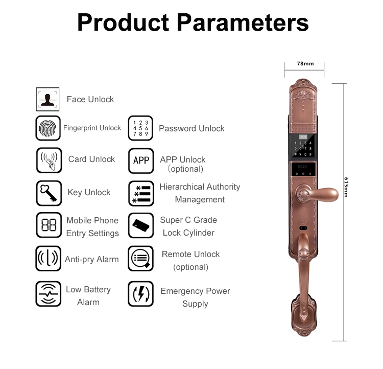 3D Face Recognition Luxury Villa Door Cell Phone Remote Video Camera Monitoring Automatic Intelligent Door Lock