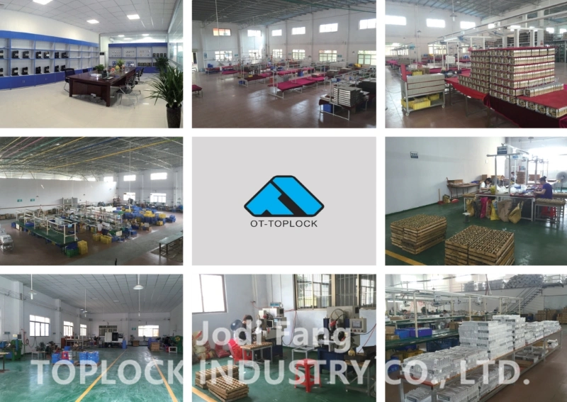 Factory Price of Electronic Drop Deadbolt Lock for Access Control System