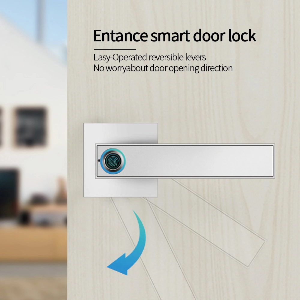 Intelligent Door Lock Electronic Fingerprint Safety Bedroom Door Hotel Door Locks