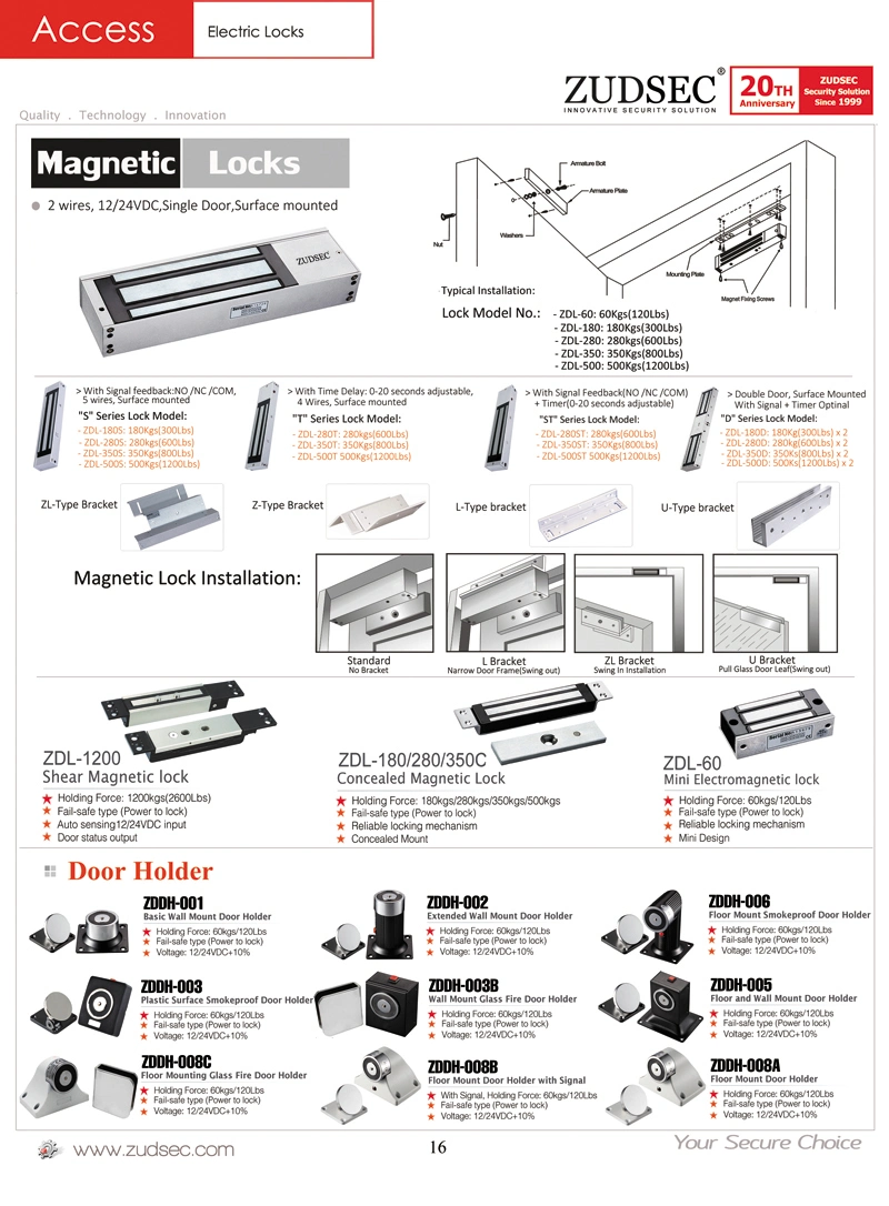 Electric Bolt Lock for Frameless Glass Door Used in Access Control China Supplier