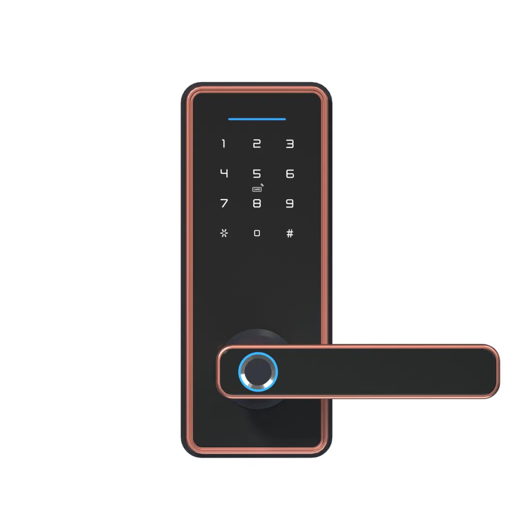 Digital Lock with Fingerprint, Password, Mechanical Key, Smart Door Lock