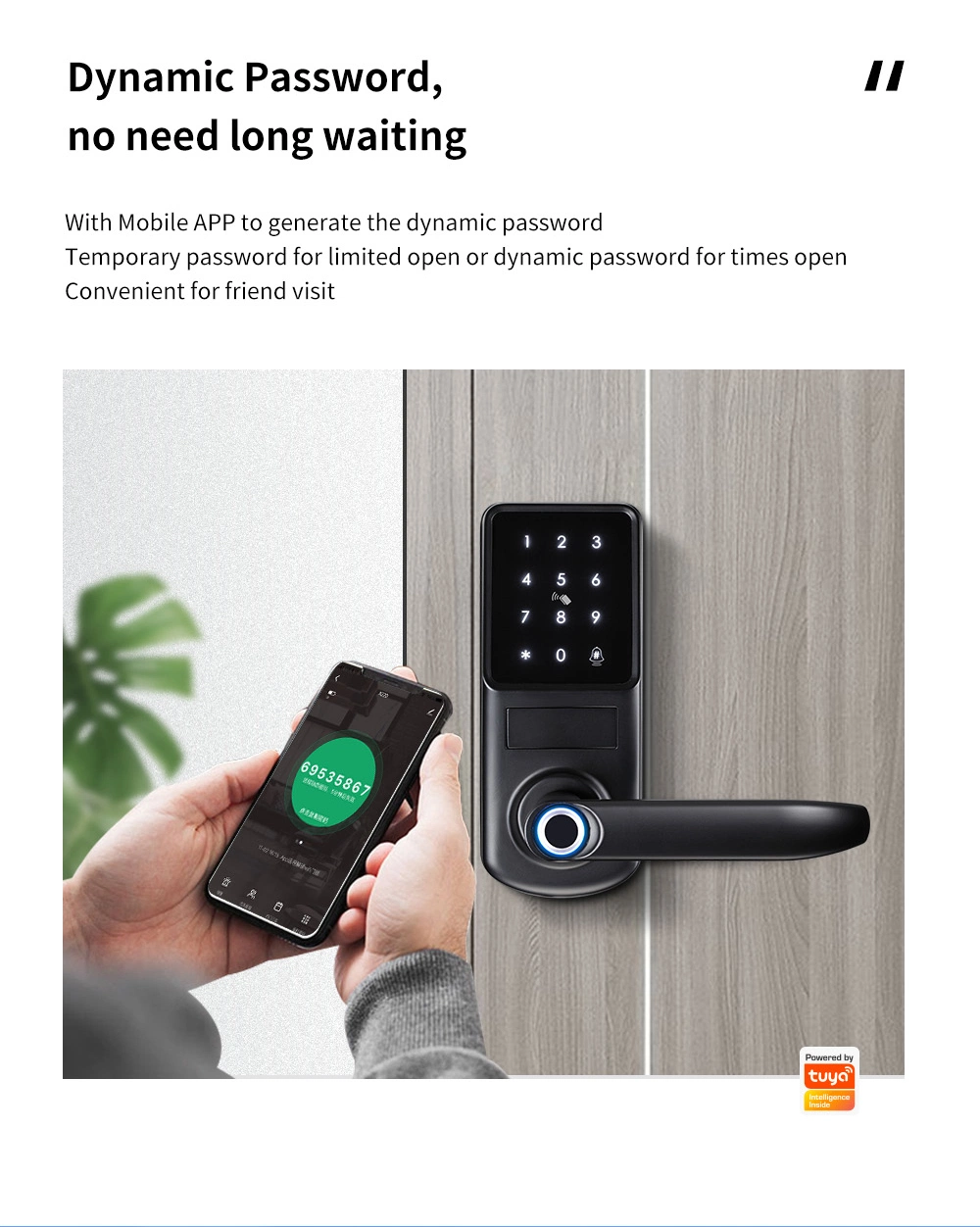 Smart Lock Thumbprint Biometric Intelligent Electronic WiFi Ttlock Tuya Door Lock