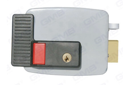 Security Electronic / Smart Secure Lock / Rim Cylinder Lock (D012)