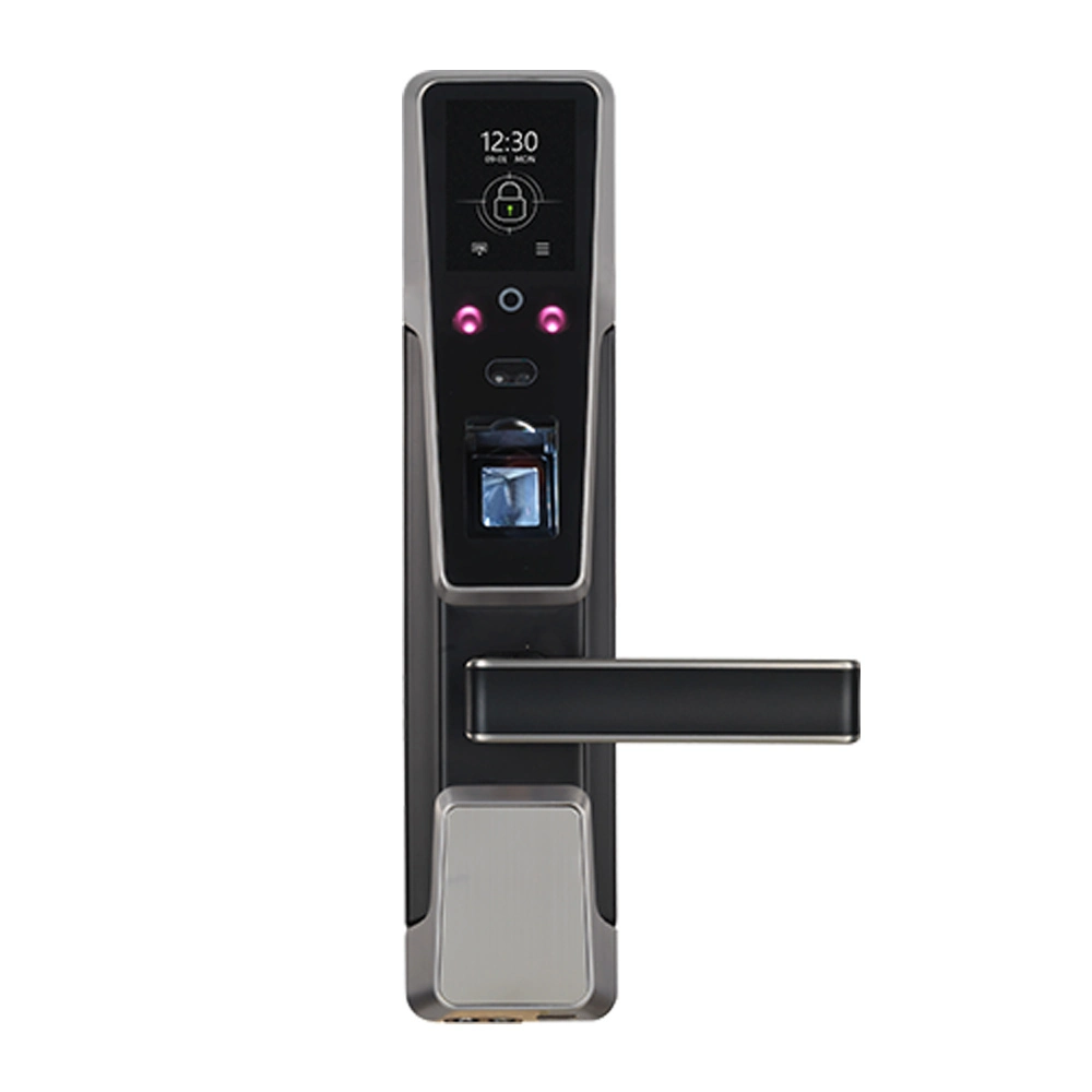 Smart Door Lock Biometric Face Recognition Fingerprint Door Lock (ZM100)