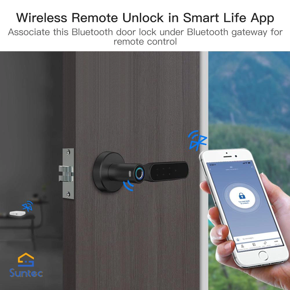 Best Price WiFi Fingerprint Password RFID Card Tuya Smart Door Lock