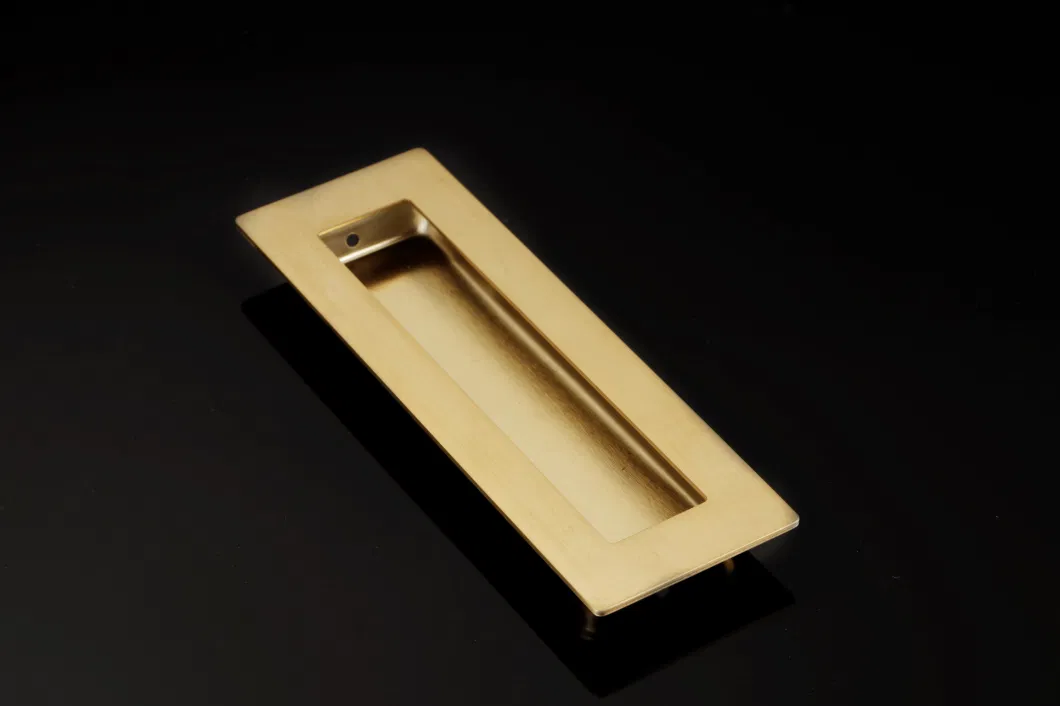 Golden Stainless Steel Rectangle Concealed Flush Pull Handle for Sliding Door