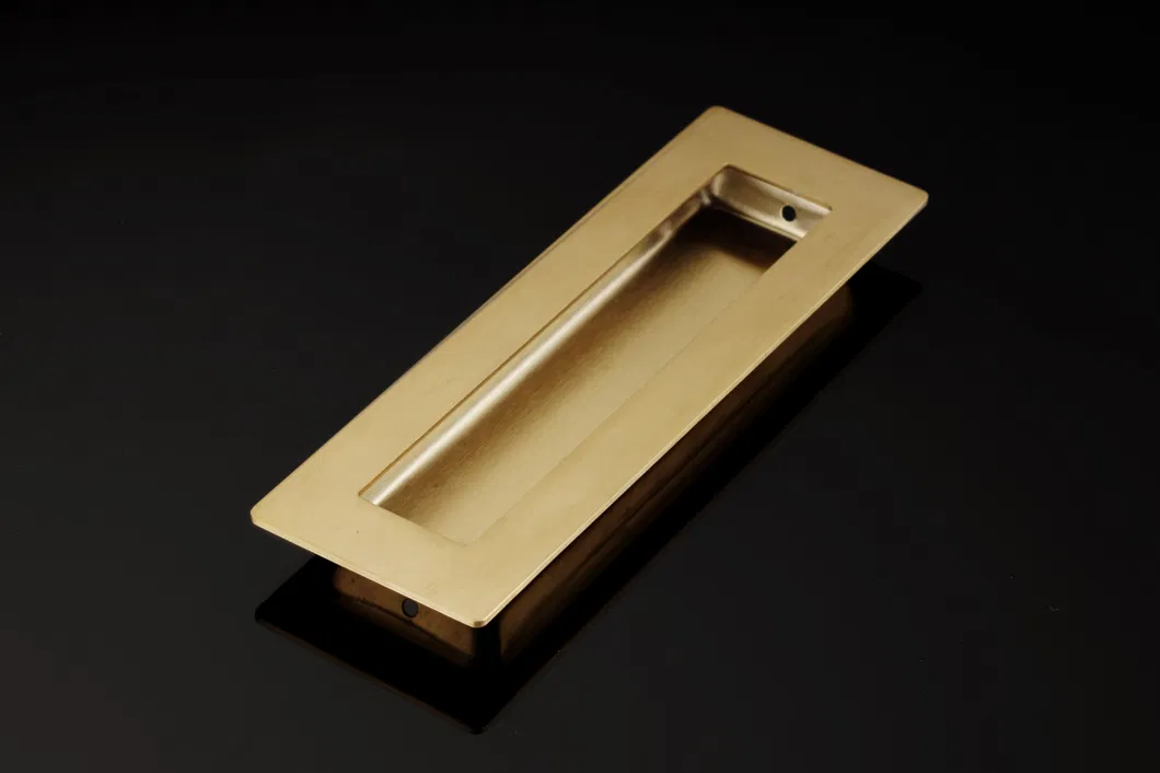 Golden Stainless Steel Rectangle Concealed Flush Pull Handle for Sliding Door