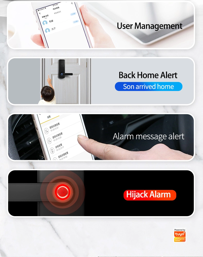 OEM Cutomizied with Tuya APP Fingerprint Cylinder Smart Door Lock