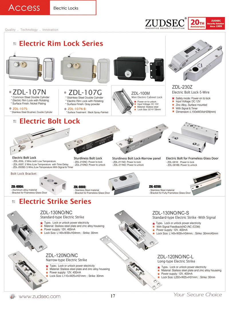 Electric Bolt Lock for Frameless Glass Door Used in Access Control China Supplier