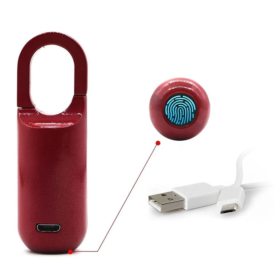 New Convenient Office Household Smart Fingerprint Padlock Door Lock